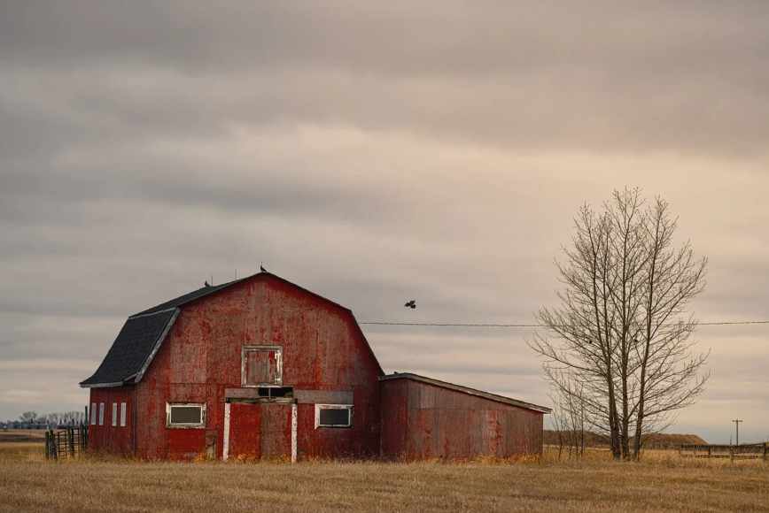 Test package for price checking